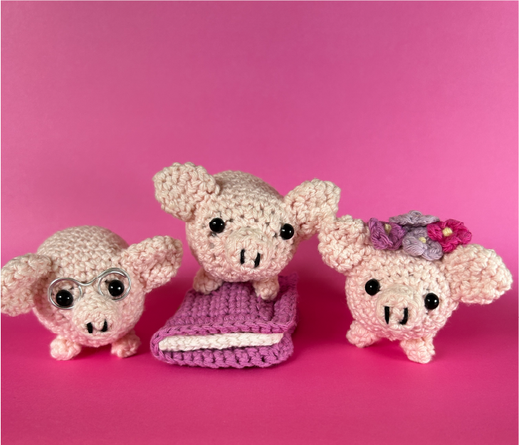 Pickwick Pig and Piglets + Bonus Accessories - Image 4